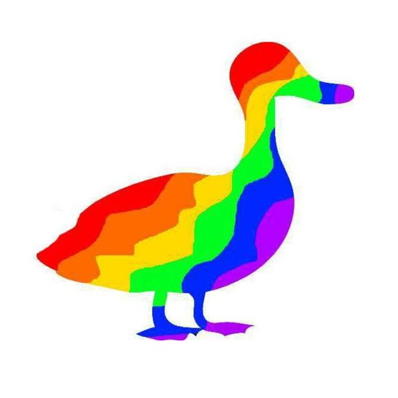 Meet your Posher, Rainbowduck - Picture 1 of 1